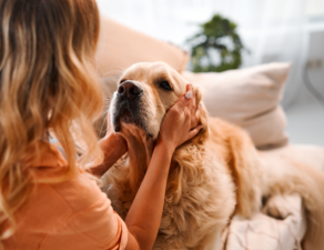 Is Adopting Senior Pets a Smart Choice?